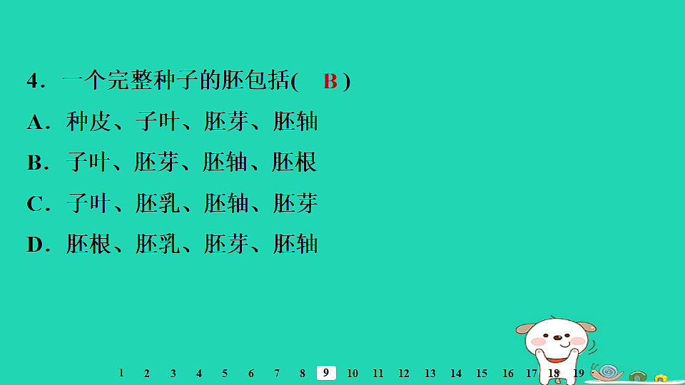 2025八年级生物上册第五单元第一章第一节种子的萌发一种子的结构习题课件冀少版（含答案）第6页
