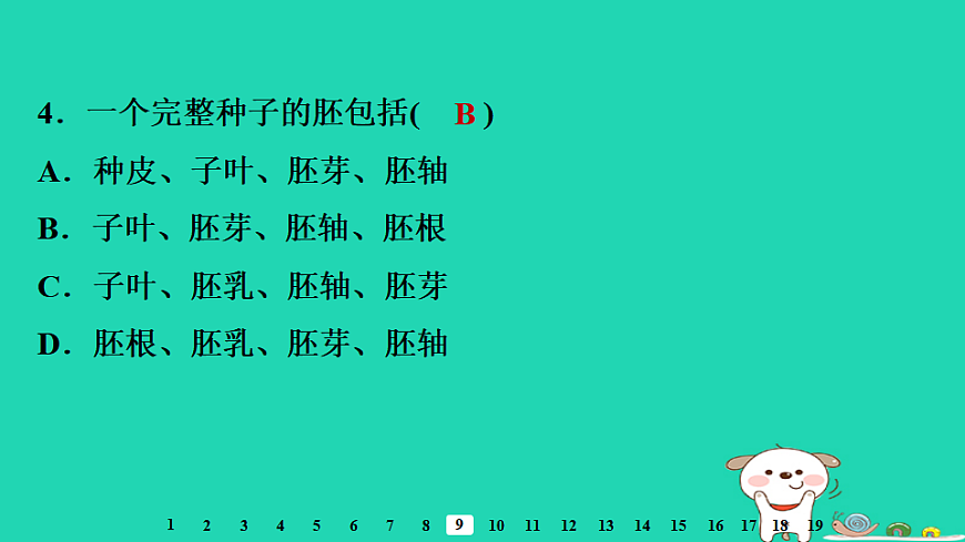 2025八年级生物上册第五单元第一章第一节种子的萌发一种子的结构习题课件冀少版（含答案）第6页
