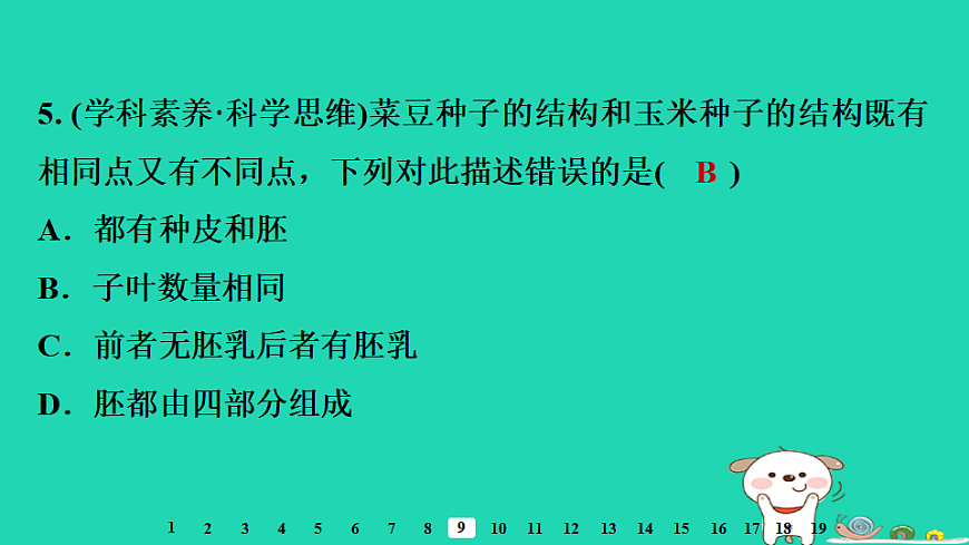 2025八年级生物上册第五单元第一章第一节种子的萌发一种子的结构习题课件冀少版（含答案）第7页