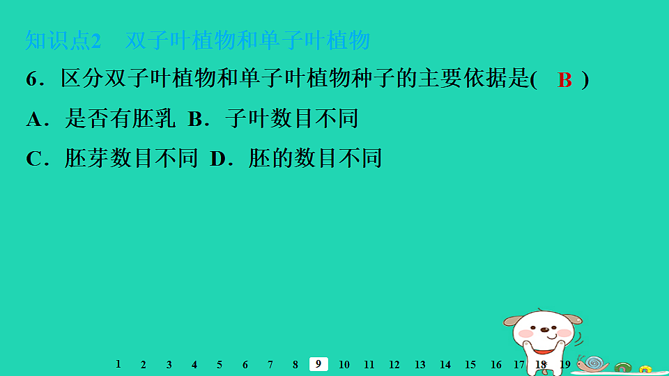 2025八年级生物上册第五单元第一章第一节种子的萌发一种子的结构习题课件冀少版（含答案）第8页