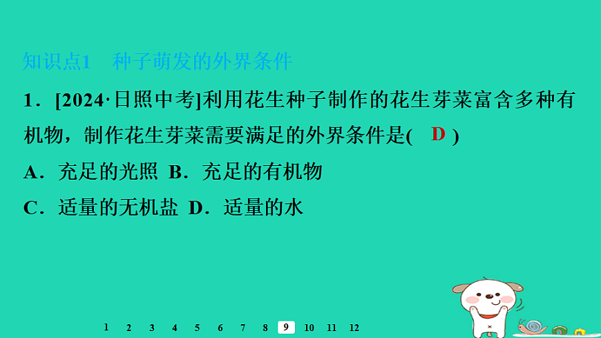 2025八年级生物上册第五单元第一章第一节种子的萌发二种子萌发的条件习题课件冀少版（含答案）第3页