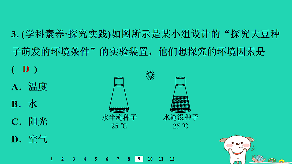 2025八年级生物上册第五单元第一章第一节种子的萌发二种子萌发的条件习题课件冀少版（含答案）第5页
