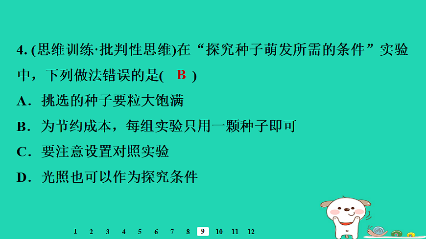 2025八年级生物上册第五单元第一章第一节种子的萌发二种子萌发的条件习题课件冀少版（含答案）第6页