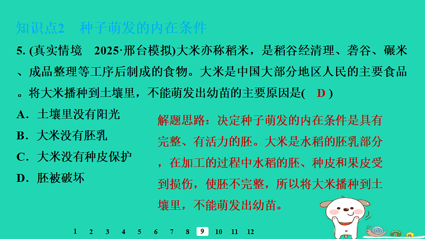2025八年级生物上册第五单元第一章第一节种子的萌发二种子萌发的条件习题课件冀少版（含答案）第7页