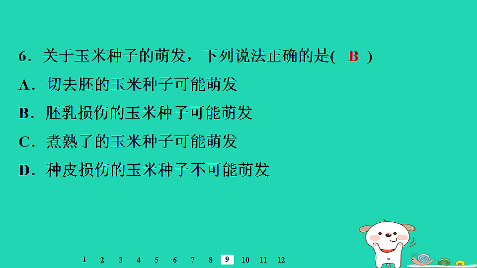 2025八年级生物上册第五单元第一章第一节种子的萌发二种子萌发的条件习题课件冀少版（含答案）第8页