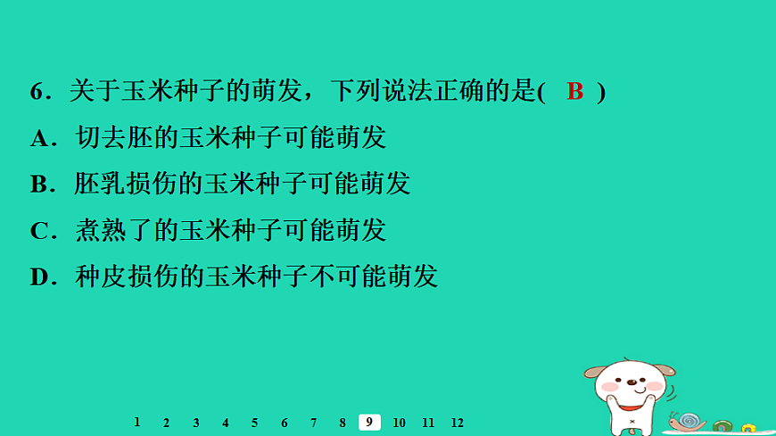 2025八年级生物上册第五单元第一章第一节种子的萌发二种子萌发的条件习题课件冀少版（含答案）第8页