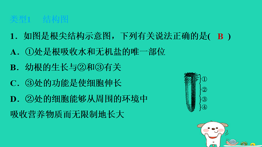 2025八年级生物上册期末专项突破1识图分析课件冀少版（含答案）第2页