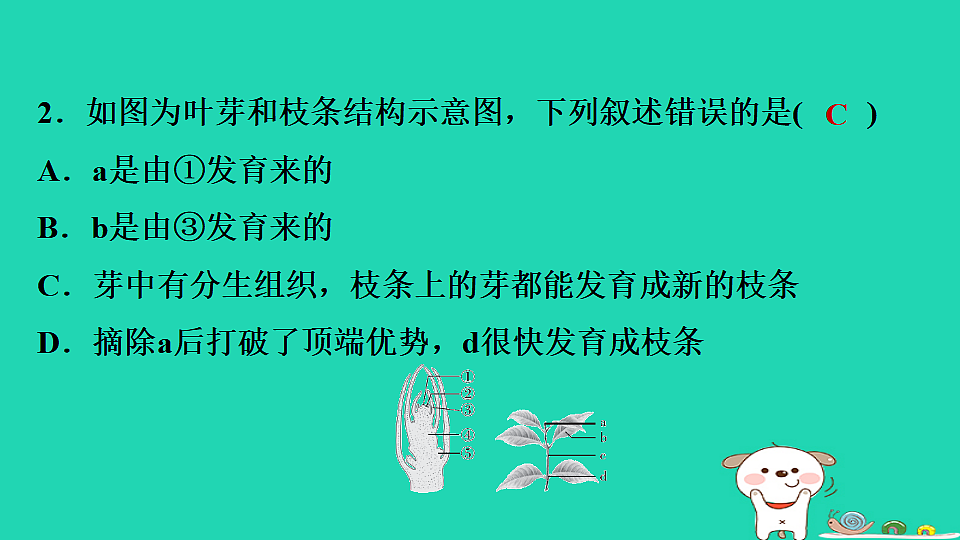 2025八年级生物上册期末专项突破1识图分析课件冀少版（含答案）第3页