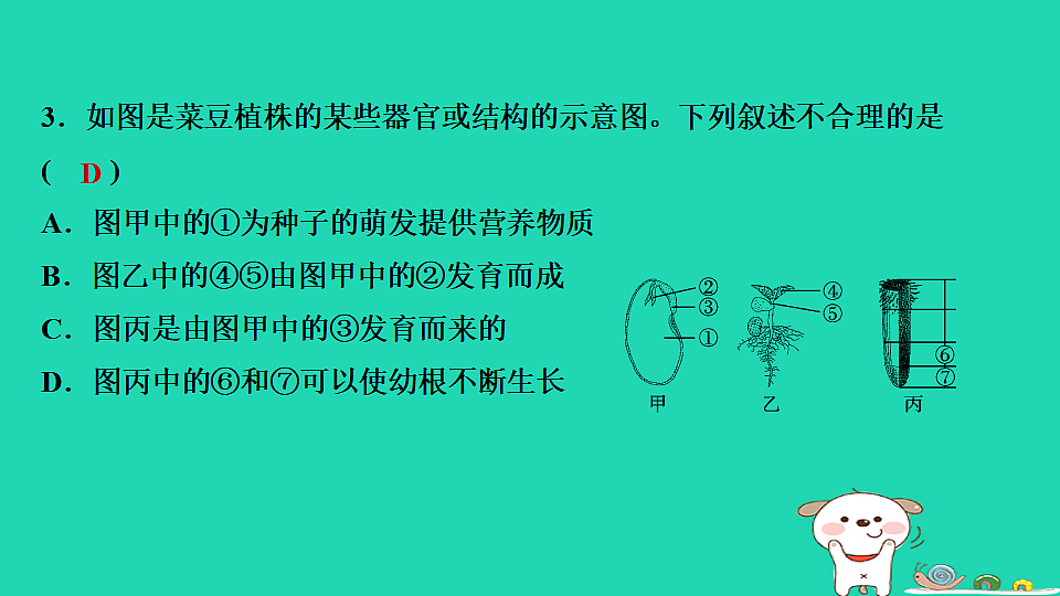 2025八年级生物上册期末专项突破1识图分析课件冀少版（含答案）第4页