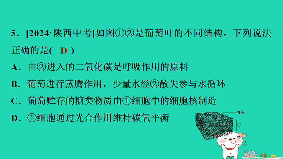 2025八年级生物上册期末专项突破1识图分析课件冀少版（含答案）第6页
