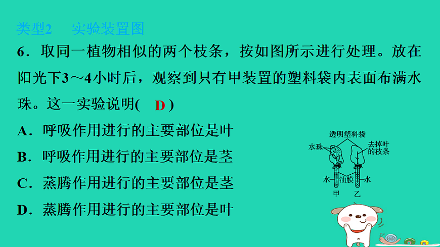 2025八年级生物上册期末专项突破1识图分析课件冀少版（含答案）第7页