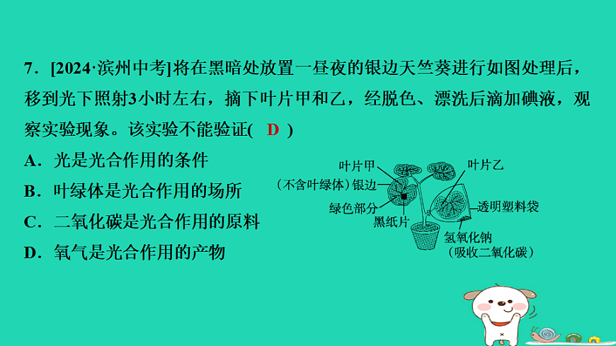 2025八年级生物上册期末专项突破1识图分析课件冀少版（含答案）第8页