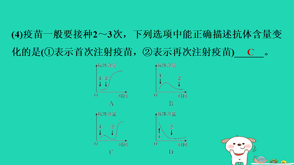 2025八年级生物上册期末专项突破2材料分析课件冀少版（含答案）第4页
