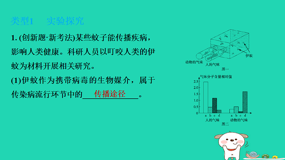 2025八年级生物上册期末专项突破3探究实践课件冀少版（含答案）第2页