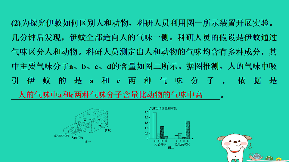 2025八年级生物上册期末专项突破3探究实践课件冀少版（含答案）第3页