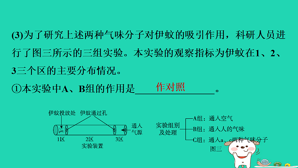 2025八年级生物上册期末专项突破3探究实践课件冀少版（含答案）第4页