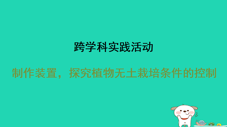 2025八年级生物上册第五单元第三章实践活动制作装置探究植物无土栽培条件的控制习题课件冀少版（含答案）第1页