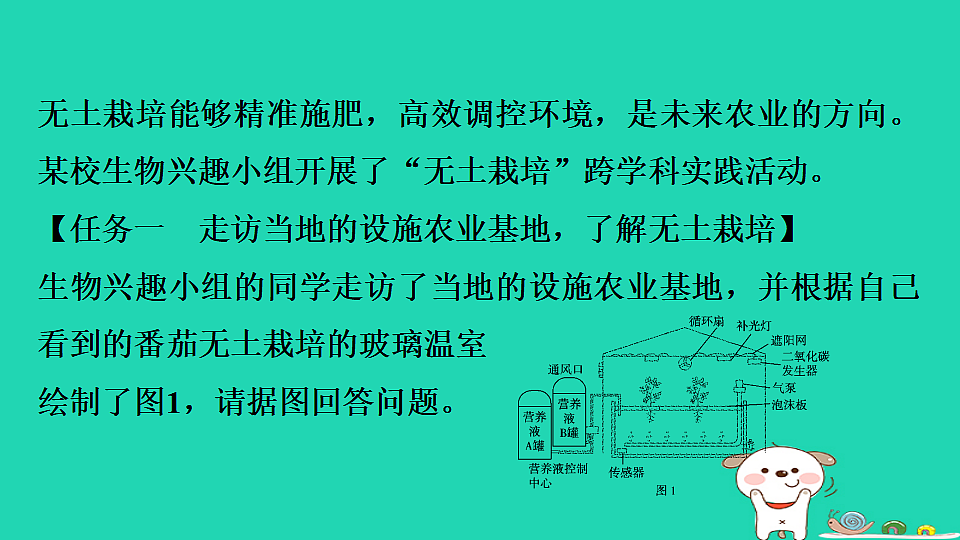 2025八年级生物上册第五单元第三章实践活动制作装置探究植物无土栽培条件的控制习题课件冀少版（含答案）第2页
