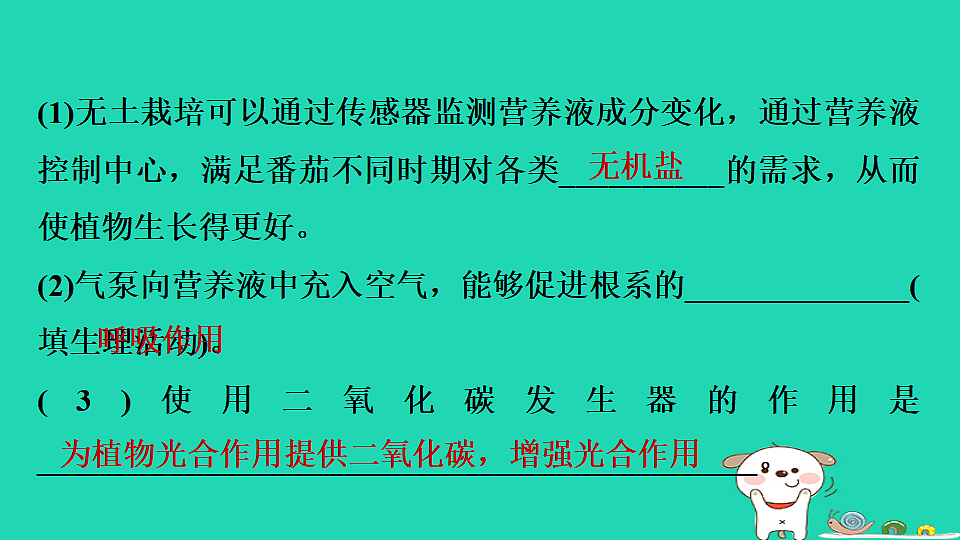 2025八年级生物上册第五单元第三章实践活动制作装置探究植物无土栽培条件的控制习题课件冀少版（含答案）第3页