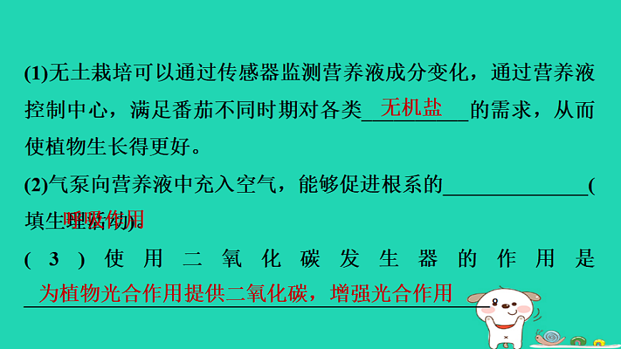 2025八年级生物上册第五单元第三章实践活动制作装置探究植物无土栽培条件的控制习题课件冀少版（含答案）第3页