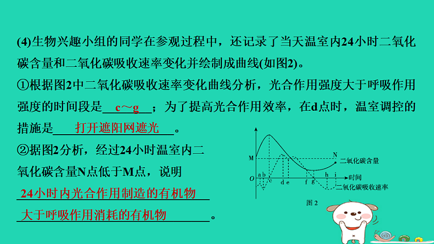 2025八年级生物上册第五单元第三章实践活动制作装置探究植物无土栽培条件的控制习题课件冀少版（含答案）第4页