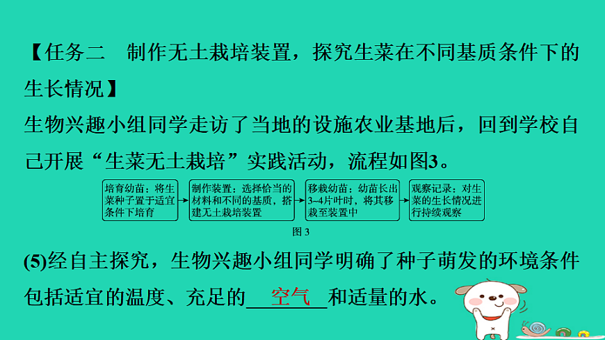 2025八年级生物上册第五单元第三章实践活动制作装置探究植物无土栽培条件的控制习题课件冀少版（含答案）第5页