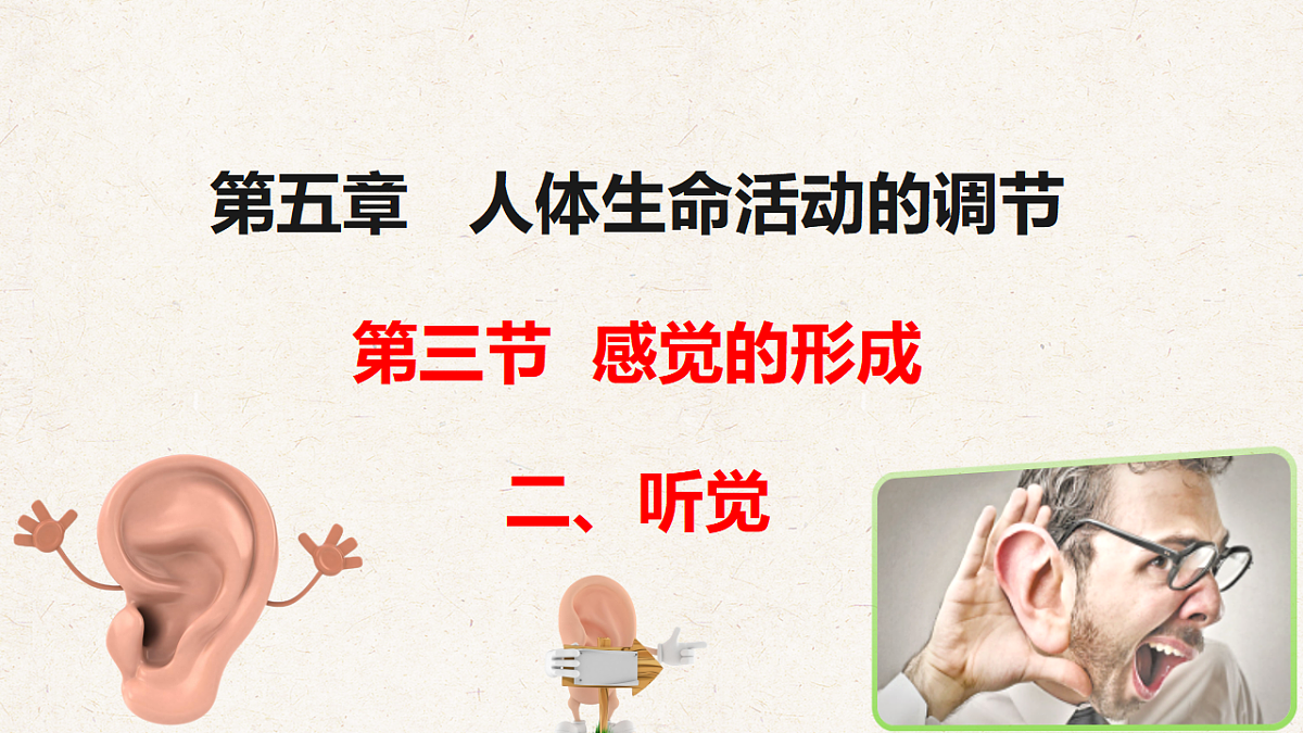 冀少版七年级生物下册教学课件《5.3.2  感觉的形成（二、听觉）》第1页