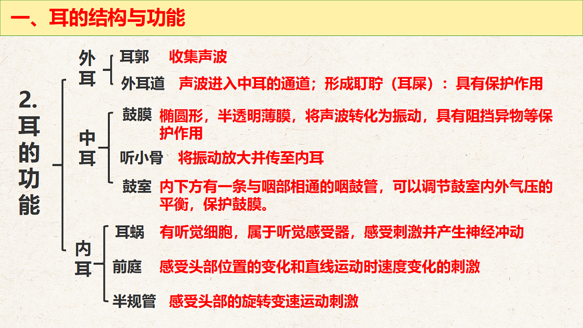 冀少版七年级生物下册教学课件《5.3.2  感觉的形成（二、听觉）》第5页