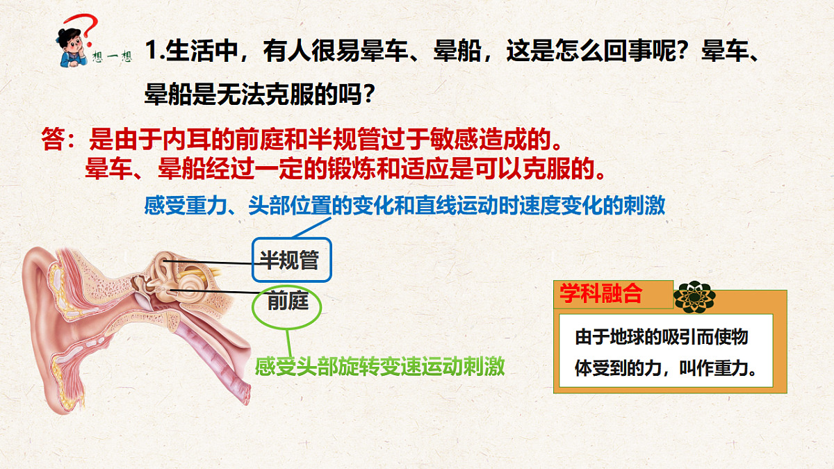冀少版七年级生物下册教学课件《5.3.2  感觉的形成（二、听觉）》第7页