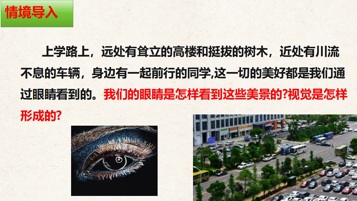 冀少版七年级生物下册教学课件《5.3.1 感觉的形成（一、视觉）》第2页