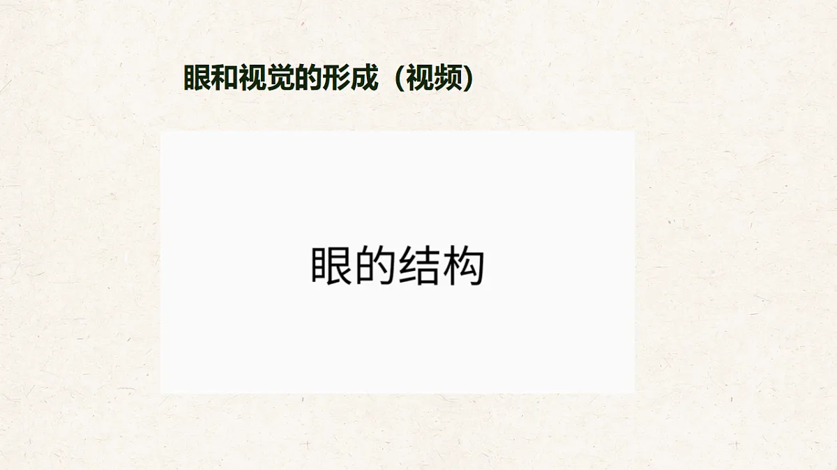 冀少版七年级生物下册教学课件《5.3.1 感觉的形成（一、视觉）》第4页