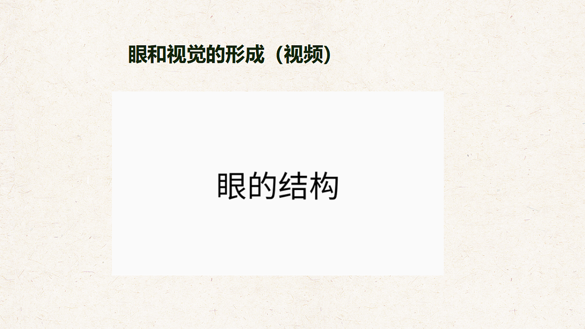 冀少版七年级生物下册教学课件《5.3.1  感觉的形成（一、视觉）》第4页