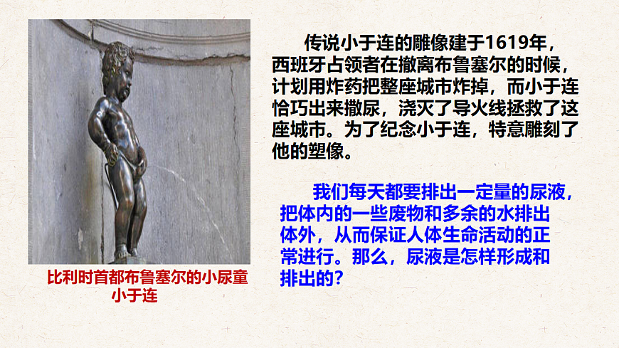 冀少版七年级生物下册教学课件《4.2 尿液的形成和排出》第2页