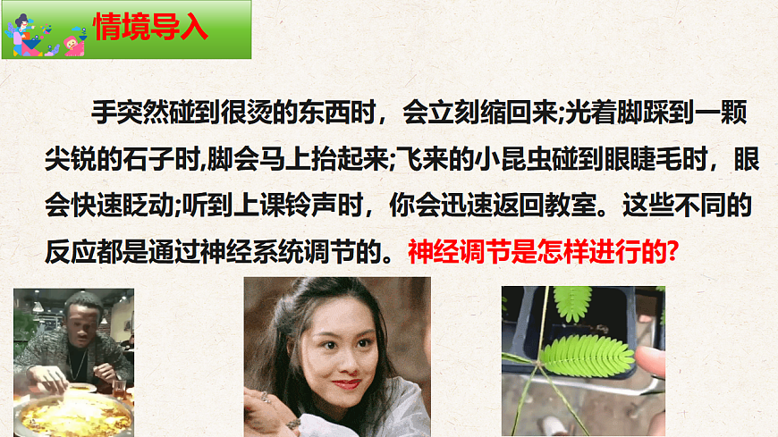 冀少版七年级生物下册教学课件《5.2  神经调节的基本方式》第2页