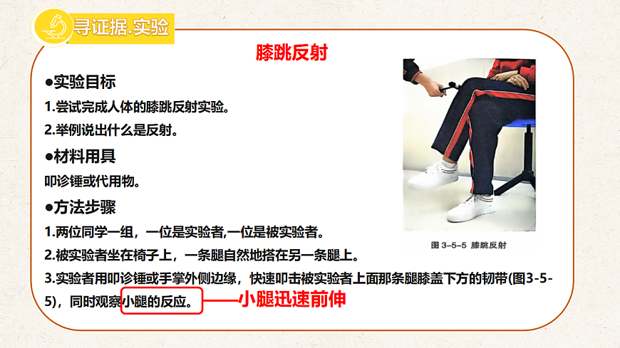 冀少版七年级生物下册教学课件《5.2  神经调节的基本方式》第3页