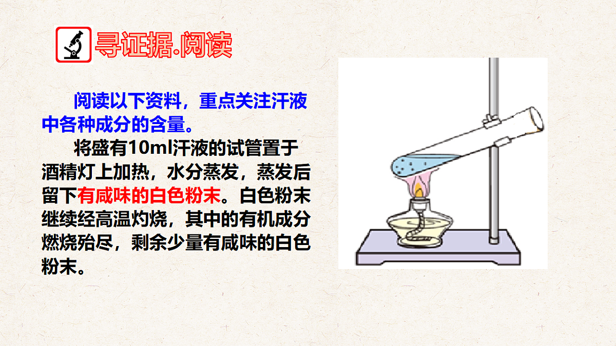 冀少版七年级生物下册教学课件《4.3 汗腺和汗液的排出》第3页