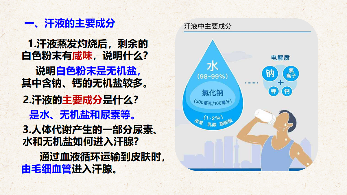 冀少版七年级生物下册教学课件《4.3 汗腺和汗液的排出》第5页