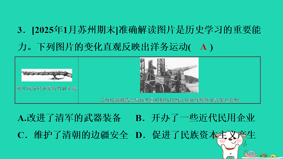 海南省2025八年级历史上册第二单元第四课洋务运动和边疆危机课件新人教版（含答案）第8页