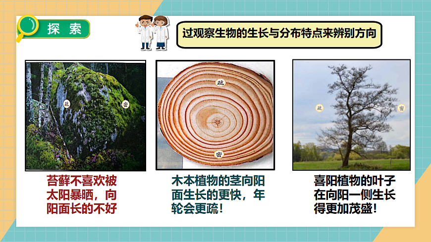 1.2  利用自然物辨别方向第8页