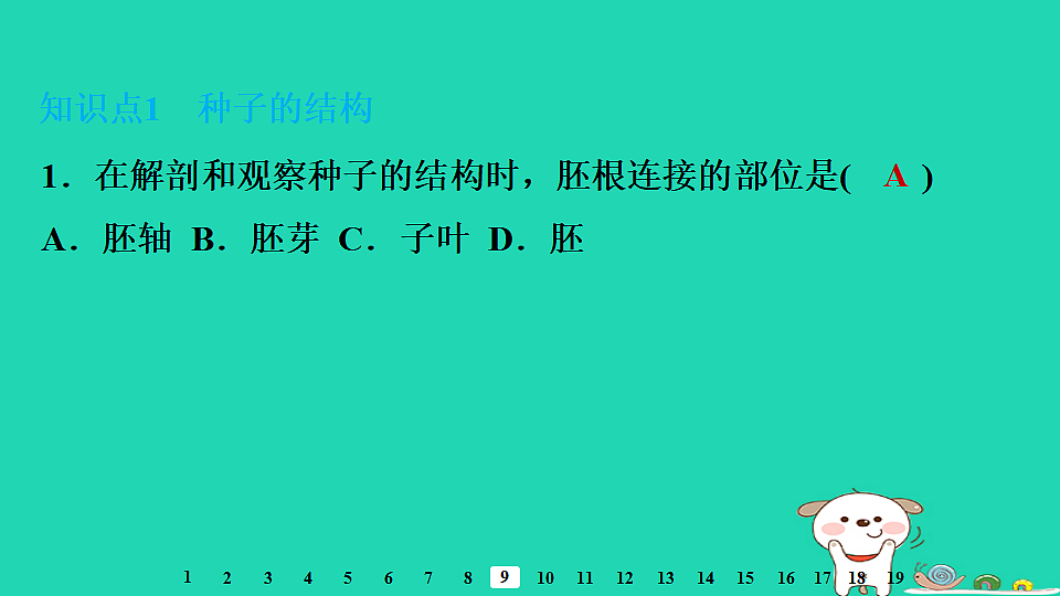 2025八年级生物上册第五单元植物的生活第一章绿色开花植物的一生第一节种子的萌发一种子的结构习题课件冀少版第3页
