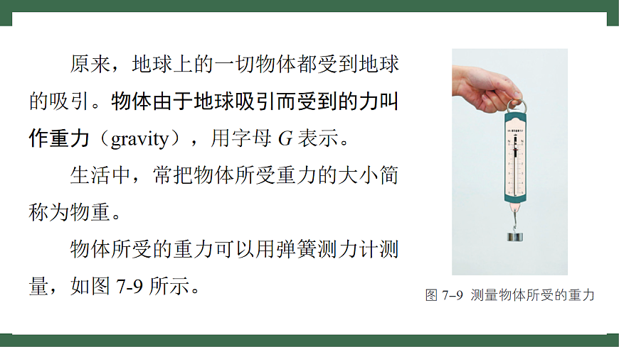苏科版（2024）物理八年级下册 7.2 重力 力的示意图 （课件）第6页