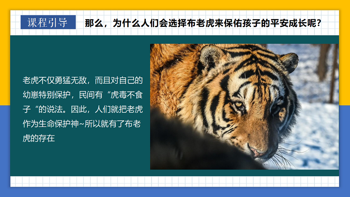 学前教育布老虎  课件第7页