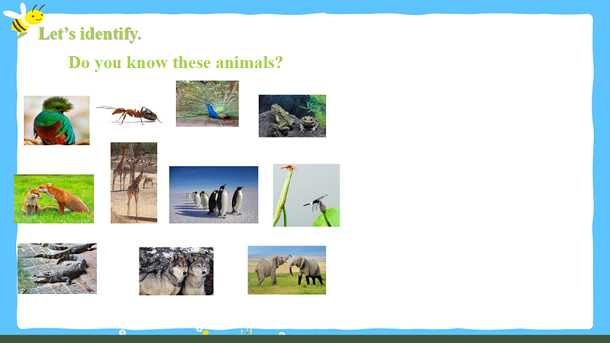 Unit 1锛歋ection A 1a-Pronunciation璇句欢 -2025-2026瀛﹀勾銆婅嫳璇�嬩竷骞寸骇路涓嬪唽锛�2024浜烘暀鐗堬級第2页