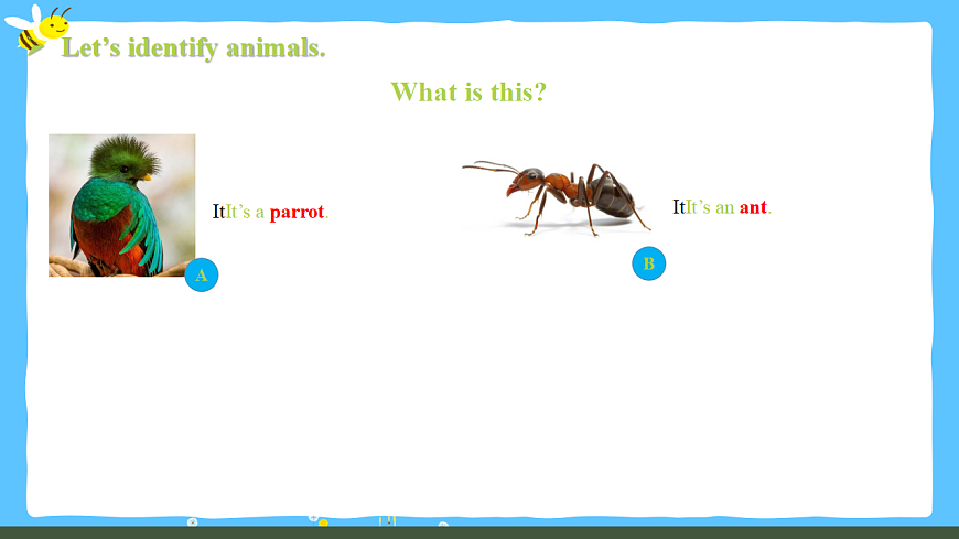 Unit 1锛歋ection A 1a-Pronunciation璇句欢 -2025-2026瀛﹀勾銆婅嫳璇�嬩竷骞寸骇路涓嬪唽锛�2024浜烘暀鐗堬級第3页