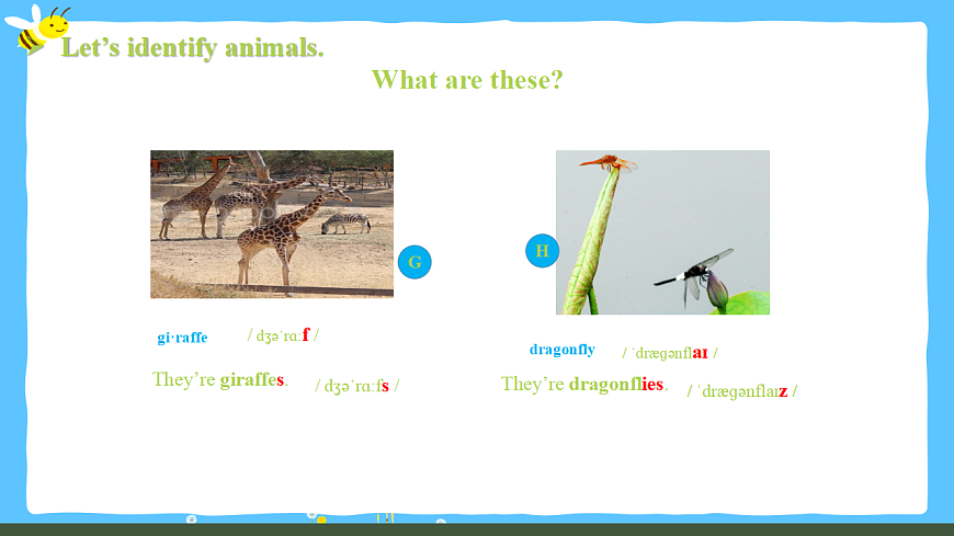 Unit 1锛歋ection A 1a-Pronunciation璇句欢 -2025-2026瀛﹀勾銆婅嫳璇�嬩竷骞寸骇路涓嬪唽锛�2024浜烘暀鐗堬級第8页