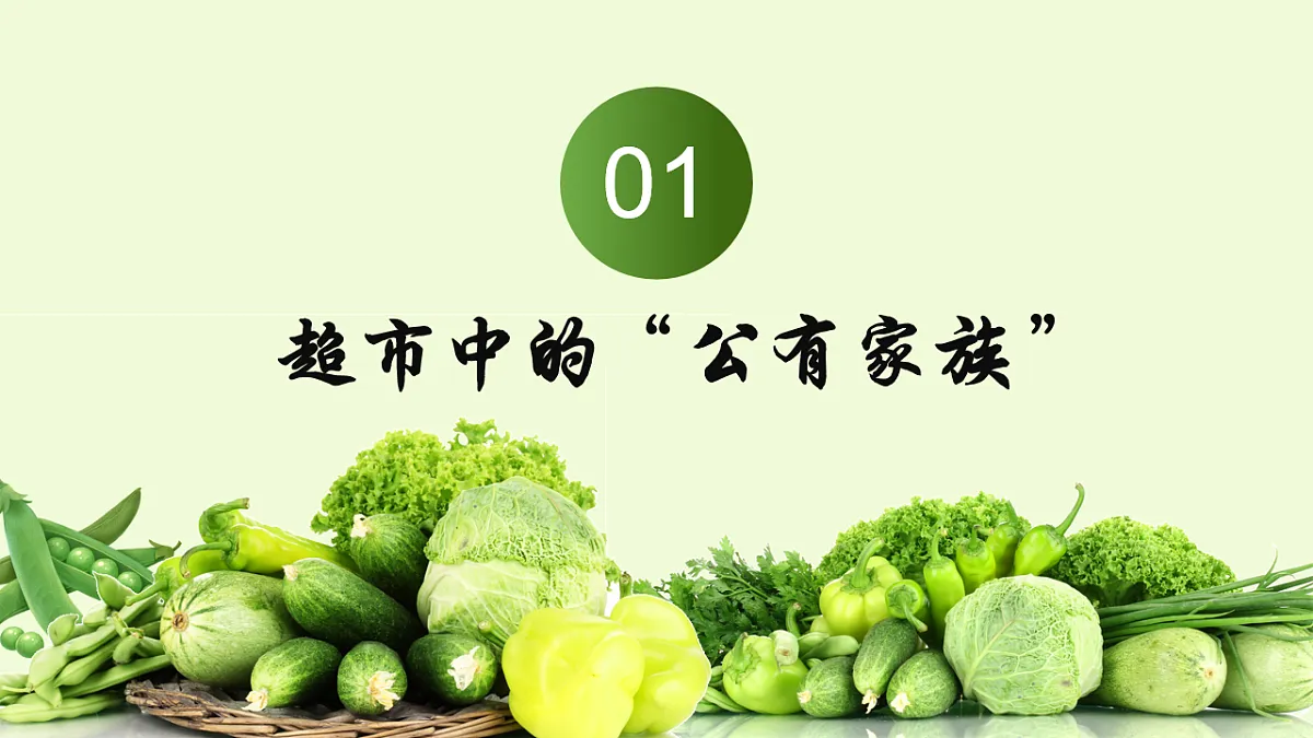 1.1以公有制为主体 多种所有制经济共同发展 课件 统编版高中政治必修二经济与社会第3页