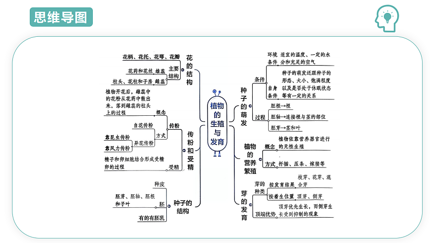 第1章第3节 植物的生殖与发育 2025-2026学年初中科学七下同步复习课件第3页
