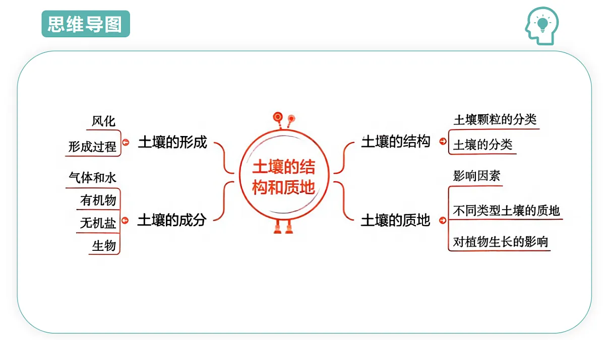第4章第2节土壤的结构2025-2026学年初中科学七下同步复习课件第3页