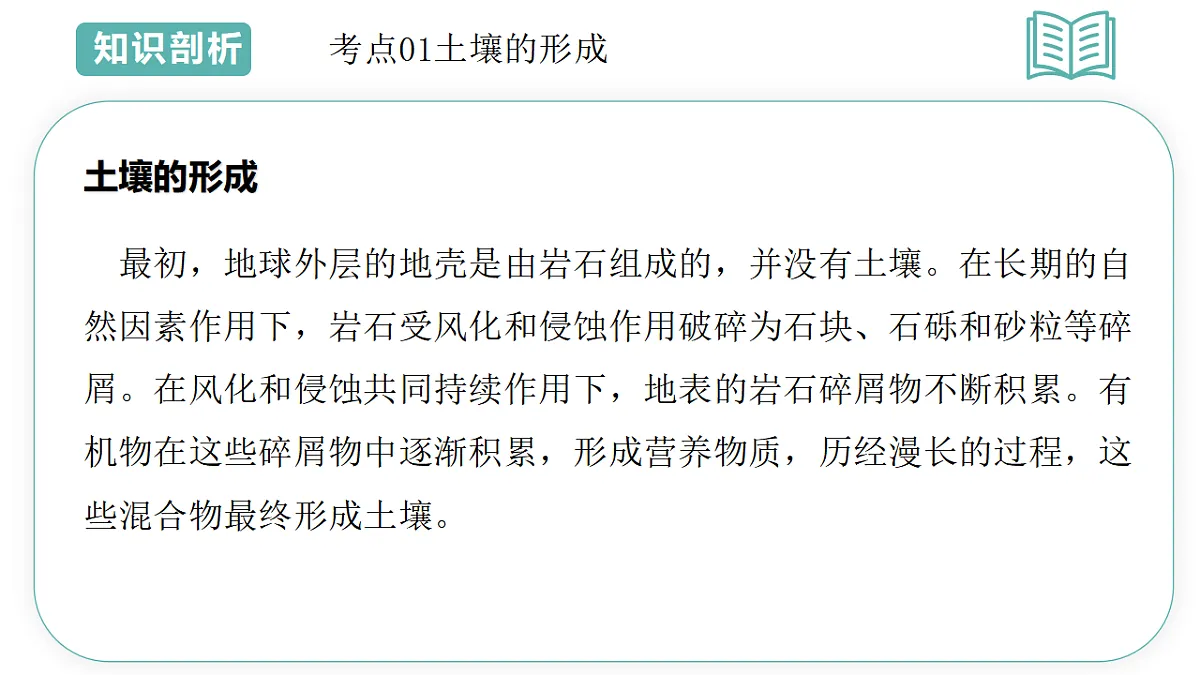 第4章第2节土壤的结构2025-2026学年初中科学七下同步复习课件第5页