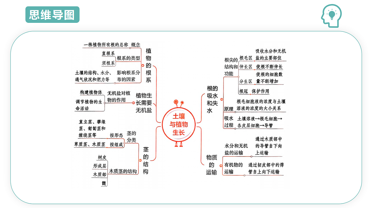 第4章第3节土壤与植物生长2025-2026学年初中科学七下同步复习课件第3页